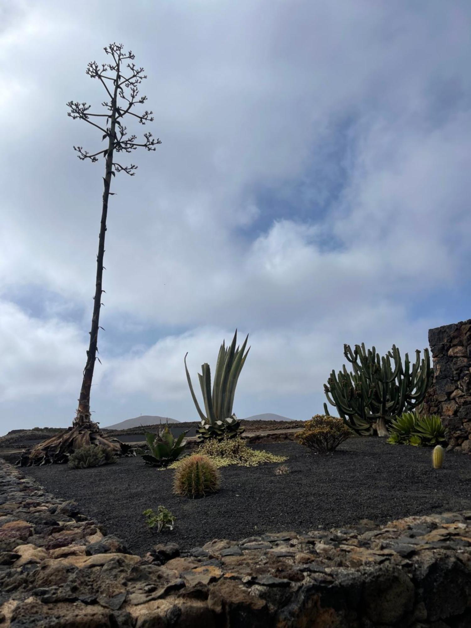 טינאחו Villa Timanfaya מראה חיצוני תמונה