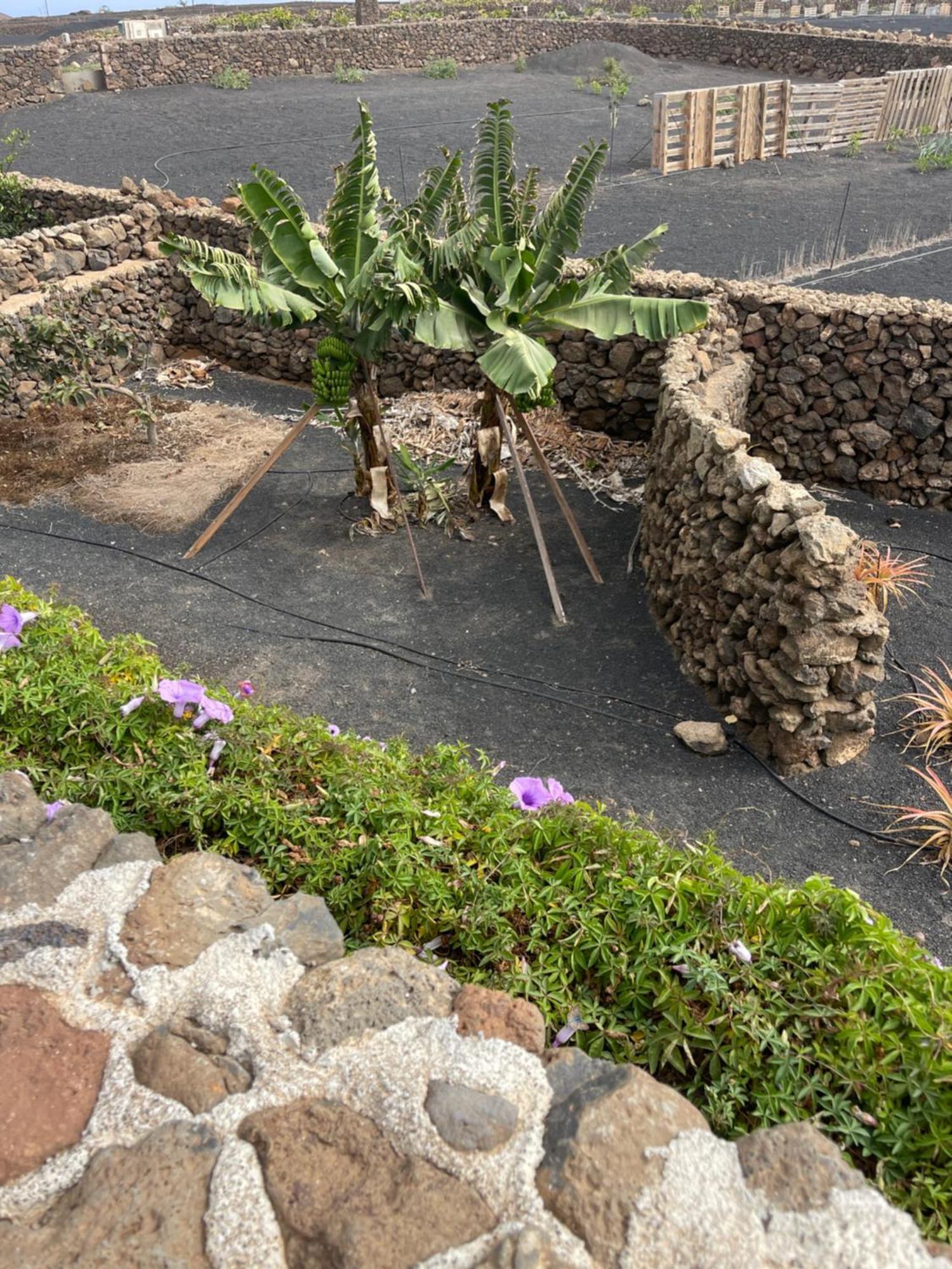 טינאחו Villa Timanfaya מראה חיצוני תמונה