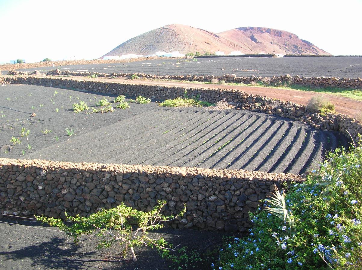 טינאחו Villa Timanfaya מראה חיצוני תמונה